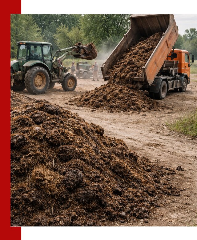 Доставка навоза самосвалами в Каменске-Уральском для сельхозпотребностей